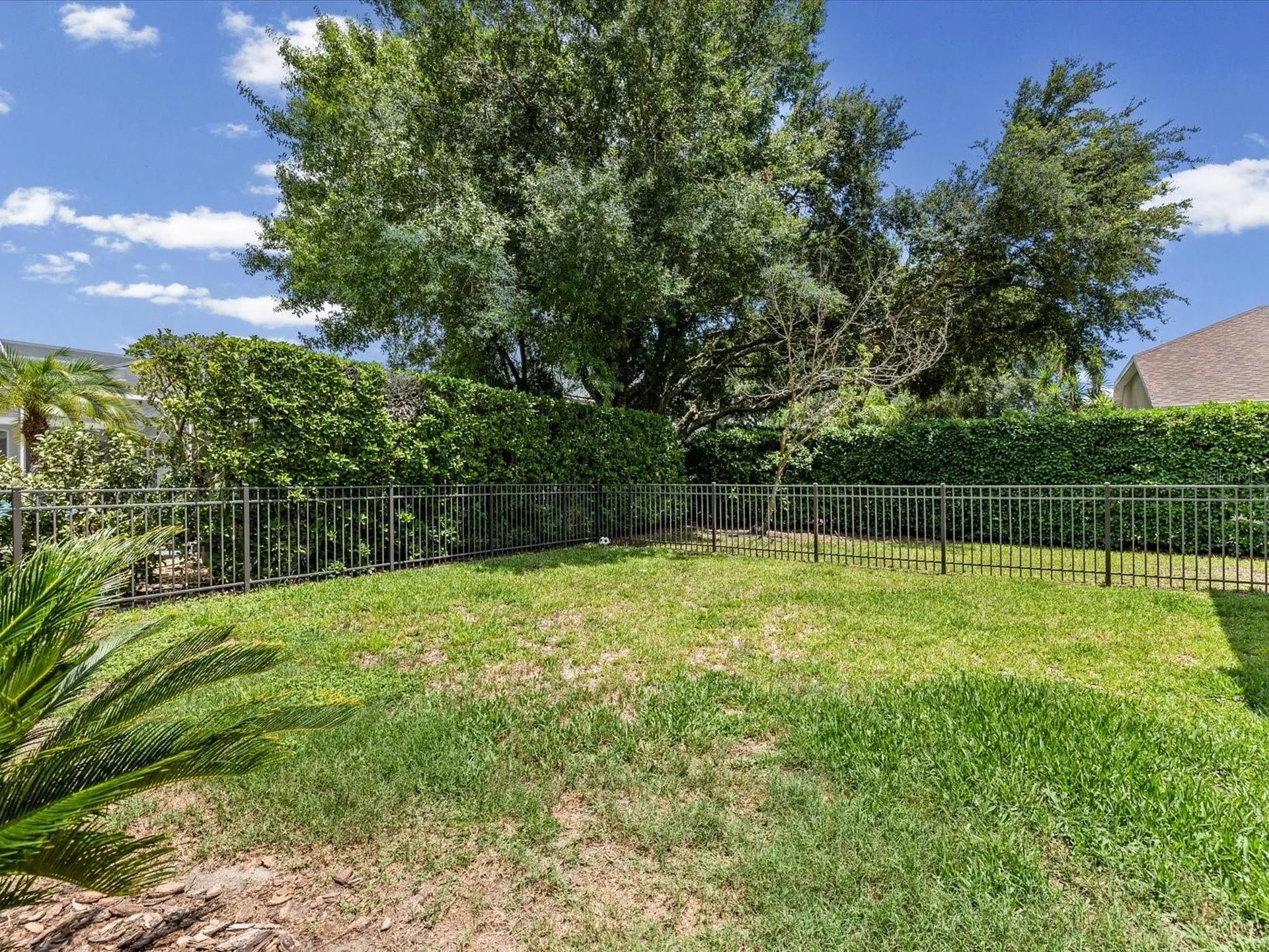 19119 Larchmont Drive Odessa FL 33556