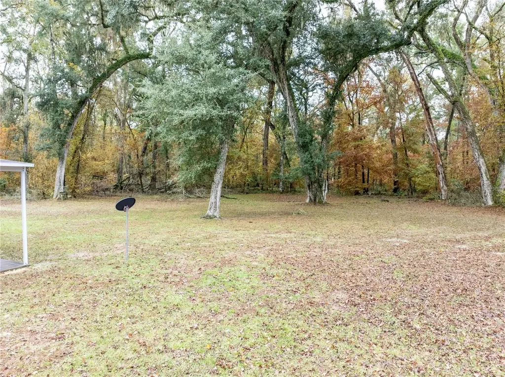 1366 SW Central Terrace Fort White FL 32038