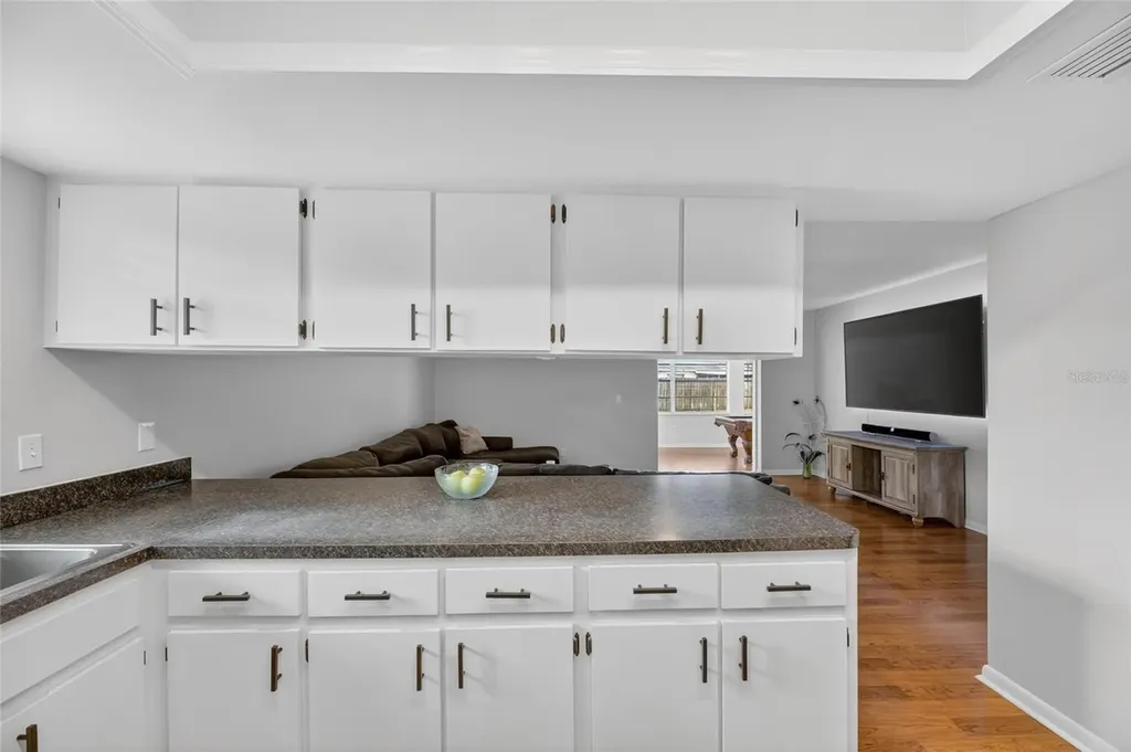 703 Isleton Drive Brandon FL 33511