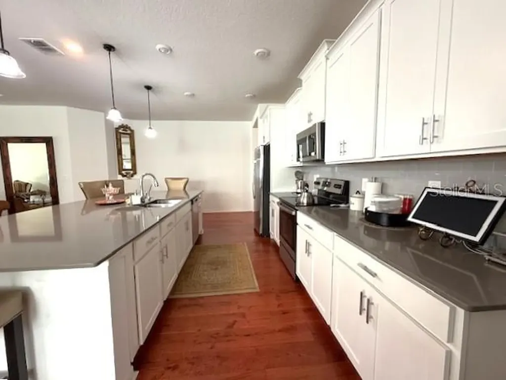 6084 Claystone Way Mount Dora FL 32757