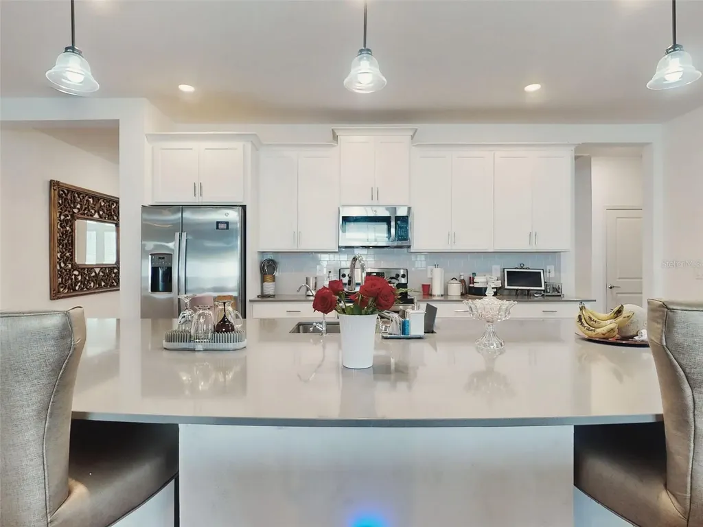 6084 Claystone Way Mount Dora FL 32757
