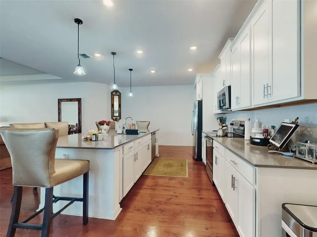 6084 Claystone Way Mount Dora FL 32757