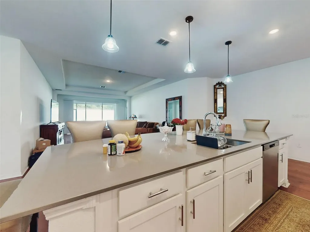 6084 Claystone Way Mount Dora FL 32757