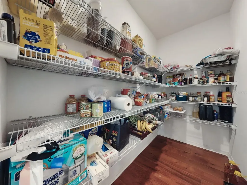 6084 Claystone Way Mount Dora FL 32757