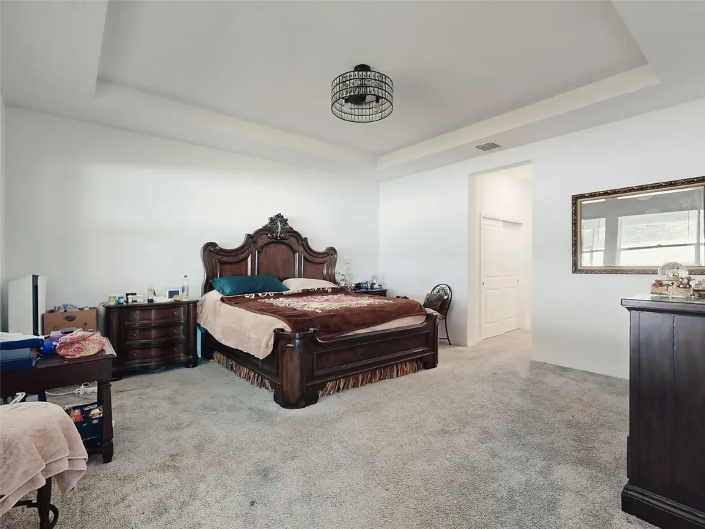 6084 Claystone Way Mount Dora FL 32757