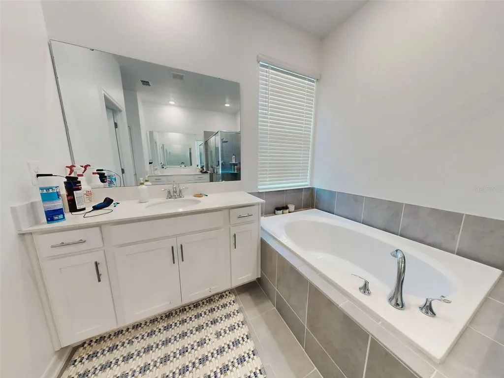 6084 Claystone Way Mount Dora FL 32757