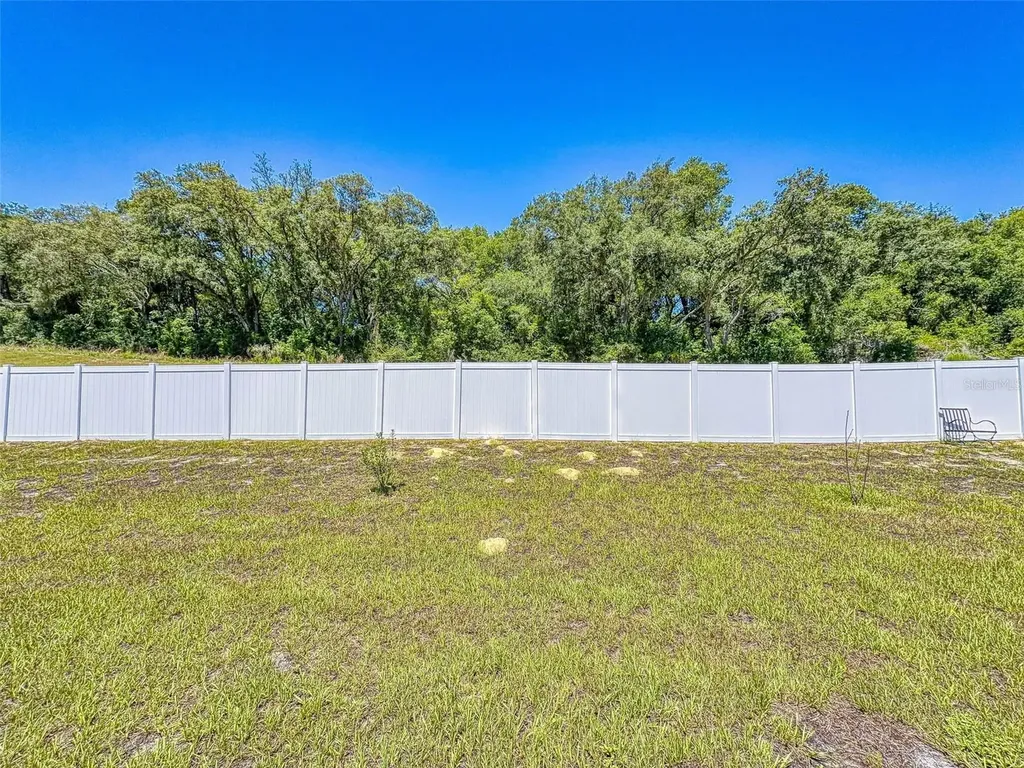 6084 Claystone Way Mount Dora FL 32757