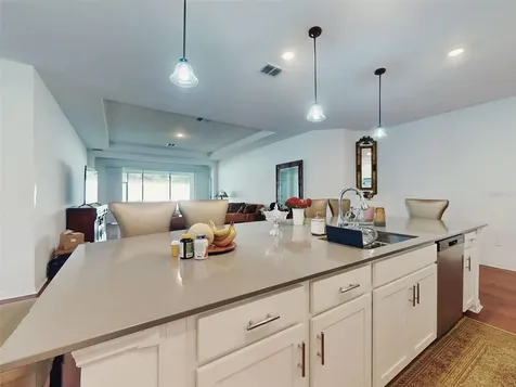 6084 Claystone Way Mount Dora FL 32757