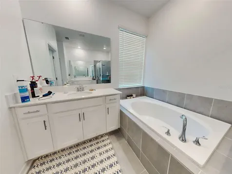 6084 Claystone Way Mount Dora FL 32757