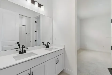 12541 Gold Honeysuckle Street Winter Garden FL 34787