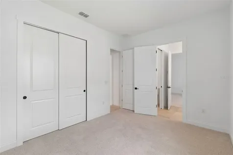 12541 Gold Honeysuckle Street Winter Garden FL 34787