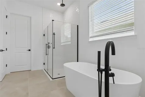 12541 Gold Honeysuckle Street Winter Garden FL 34787