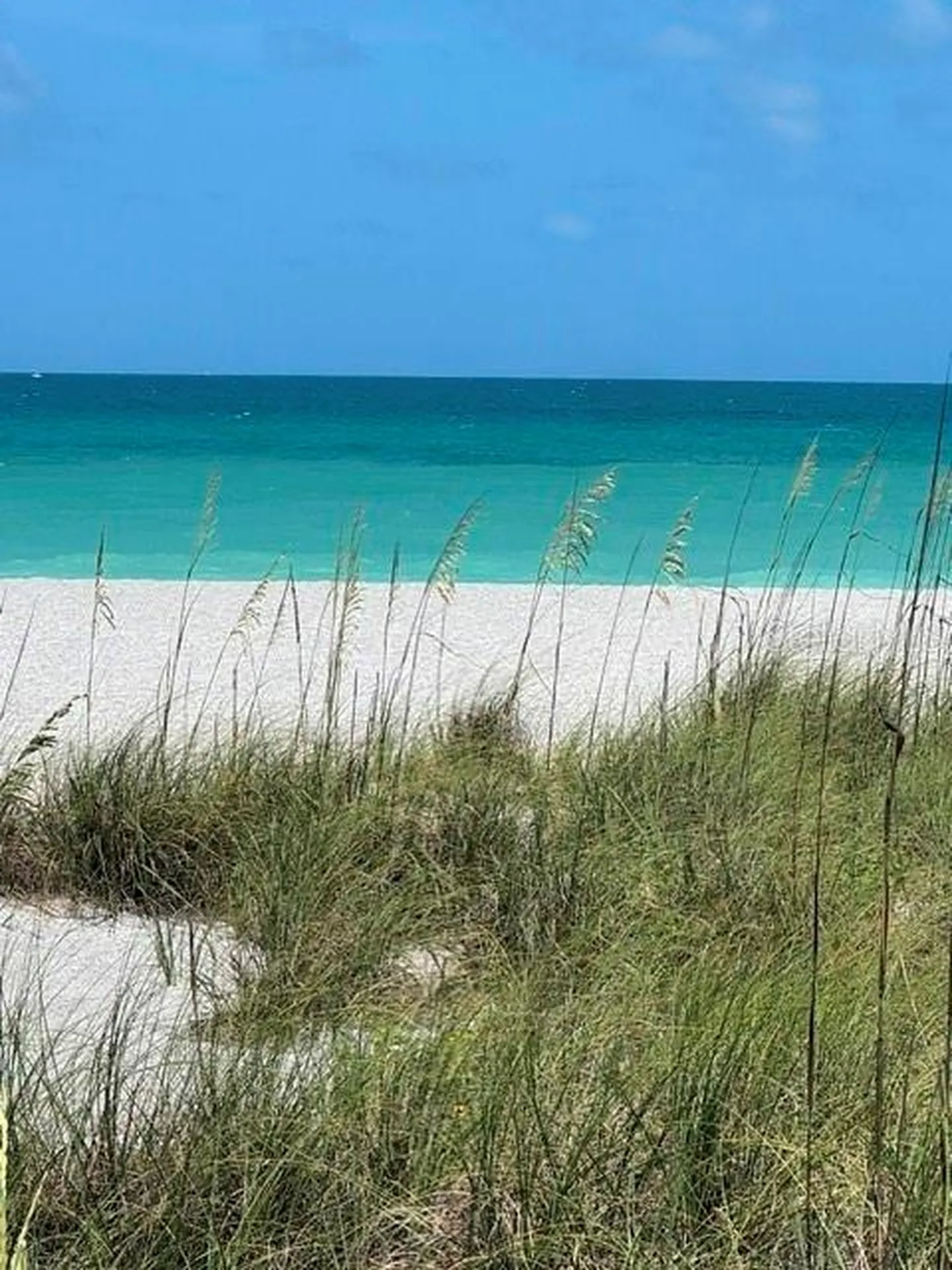 300 Base Avenue E Venice FL 34285
