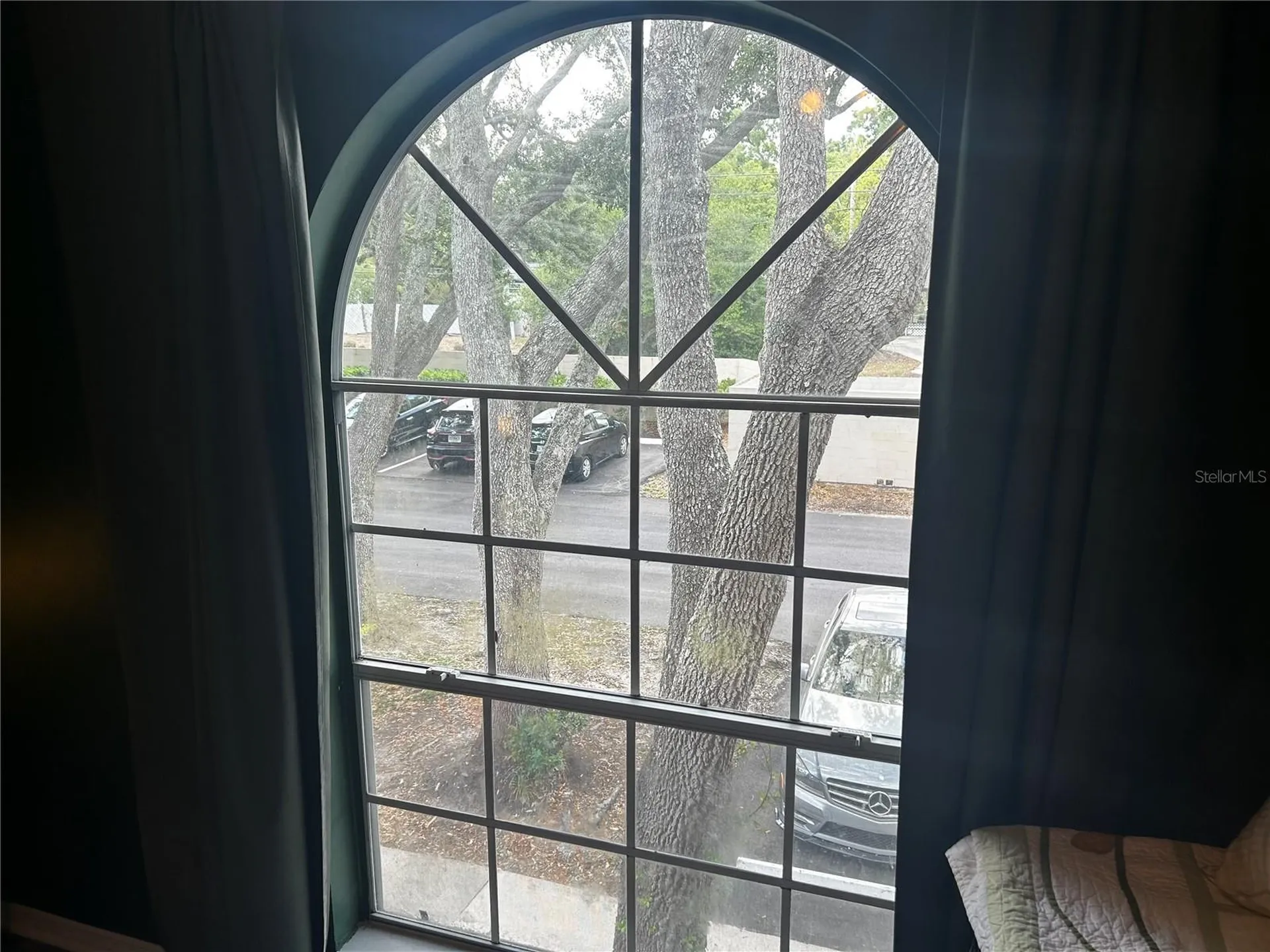 2118 Fletchers Point Circle Tampa FL 33613