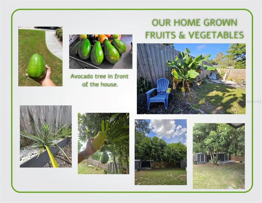 1050 Blackwood Street Altamonte Springs FL 32701