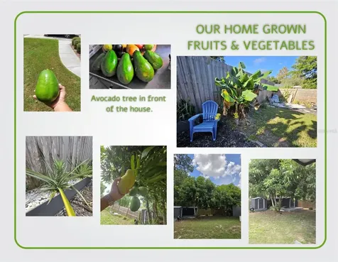 1050 Blackwood Street Altamonte Springs FL 32701