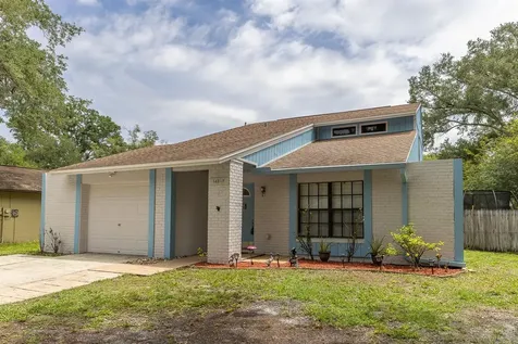 16317 Caliente Place Tampa FL 33624