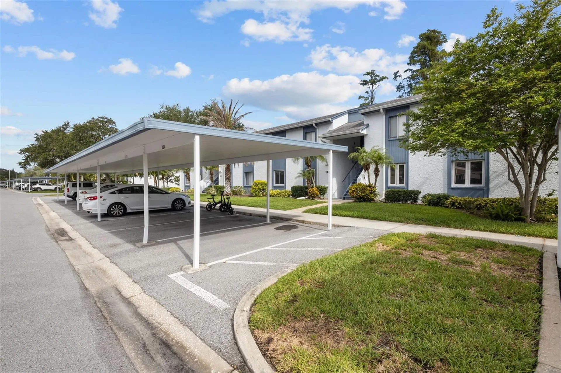 124 Cypress Lane Oldsmar FL 34677