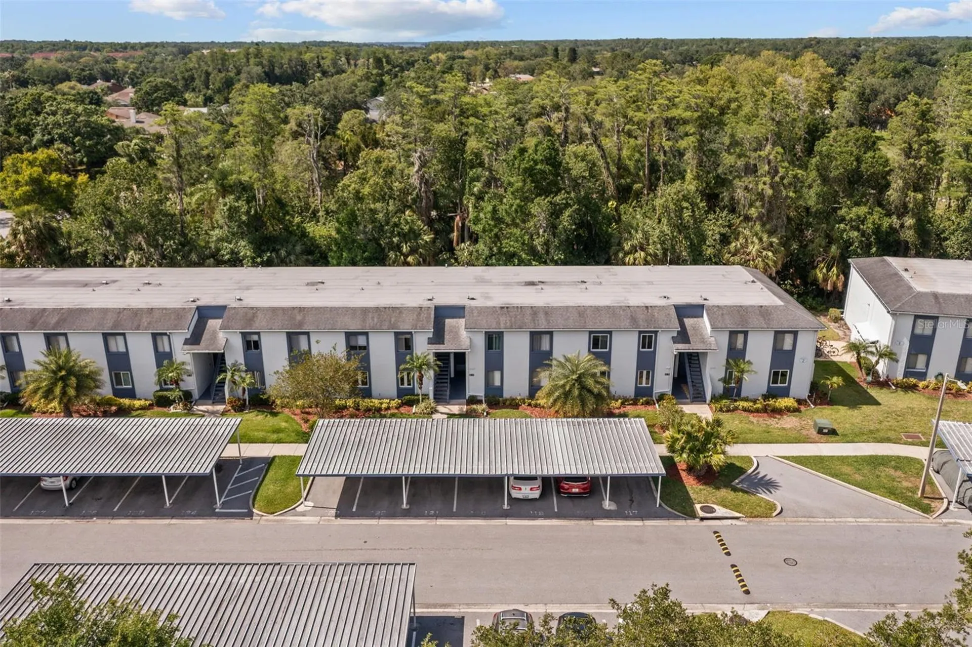 124 Cypress Lane Oldsmar FL 34677