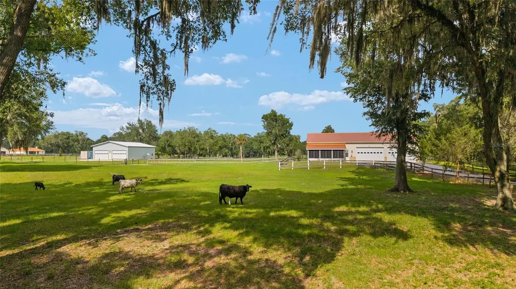 2035 NW 150th Avenue Ocala FL 34482