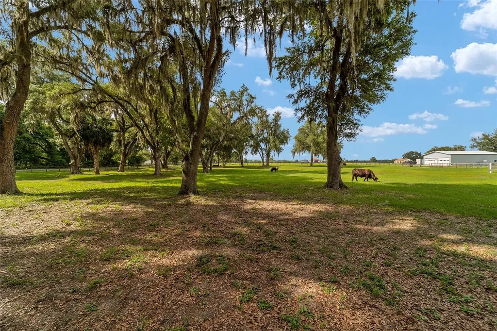 2035 NW 150th Avenue Ocala FL 34482