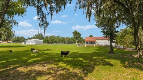 2035 NW 150th Avenue Ocala FL 34482