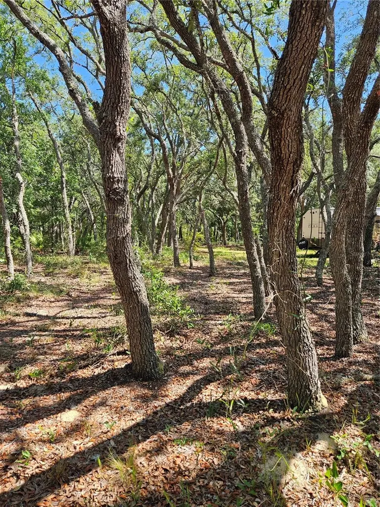 4300 W Roadrunner Court Homosassa FL 34446