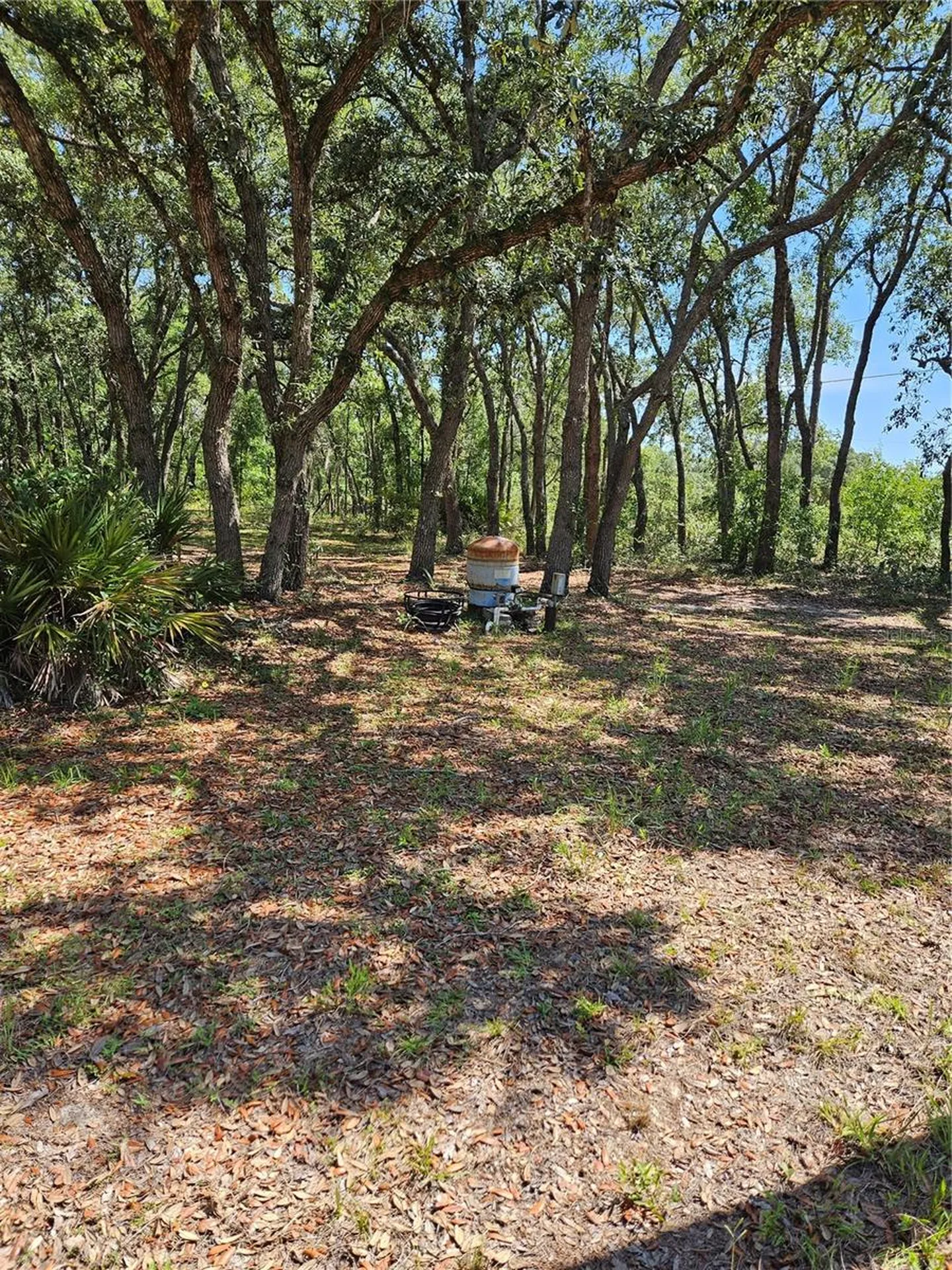 4300 W Roadrunner Court Homosassa FL 34446