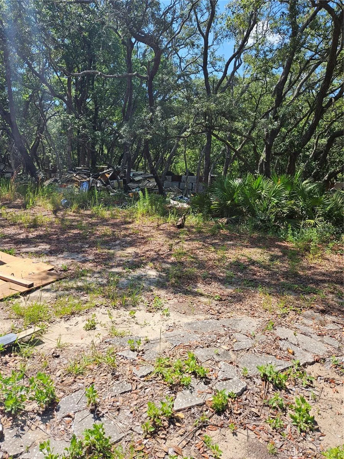 4300 W Roadrunner Court Homosassa FL 34446