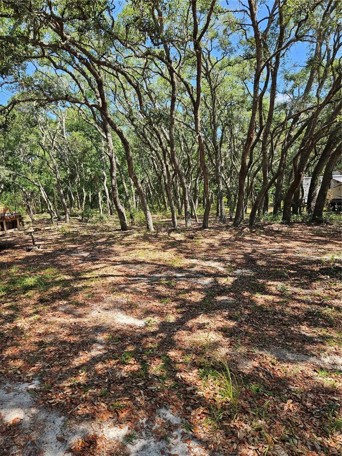 4300 W Roadrunner Court Homosassa FL 34446