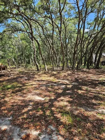 4300 W Roadrunner Court Homosassa FL 34446