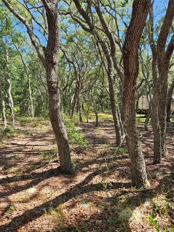 4300 W Roadrunner Court Homosassa FL 34446