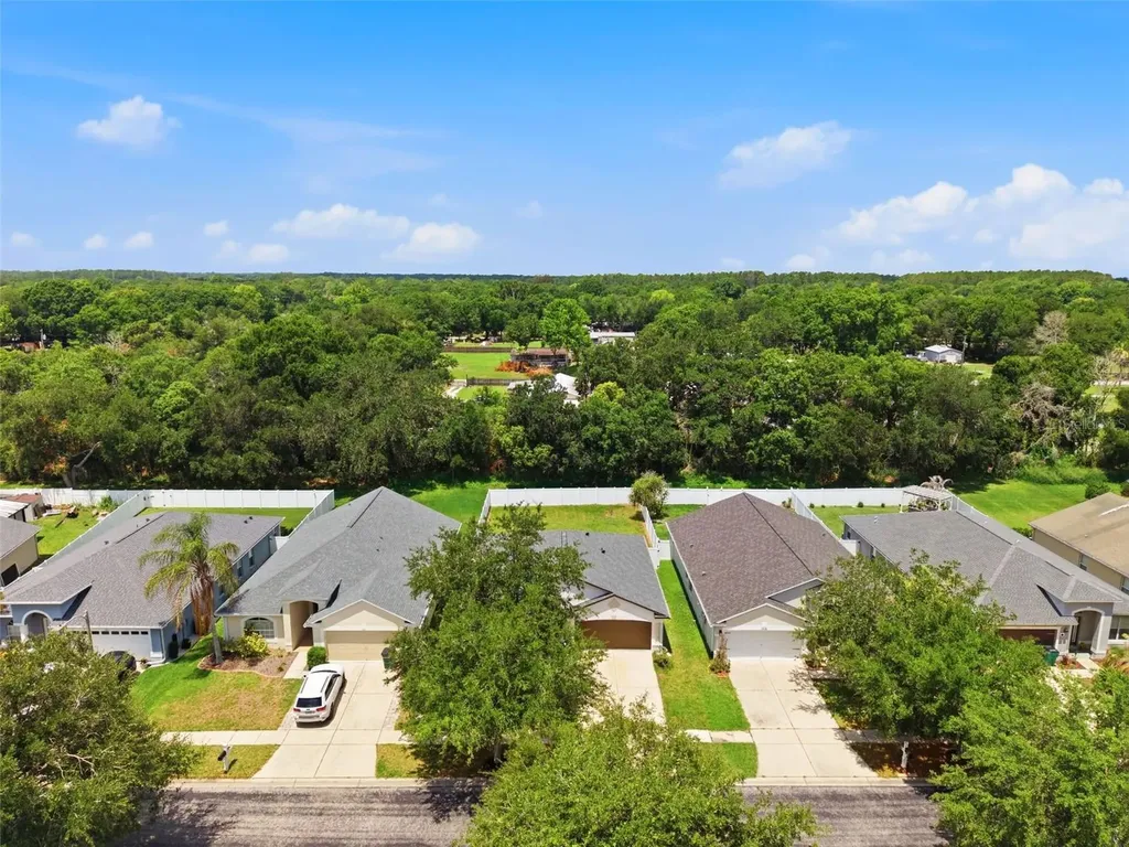 7315 Newhall Pass Lane Wesley Chapel FL 33545
