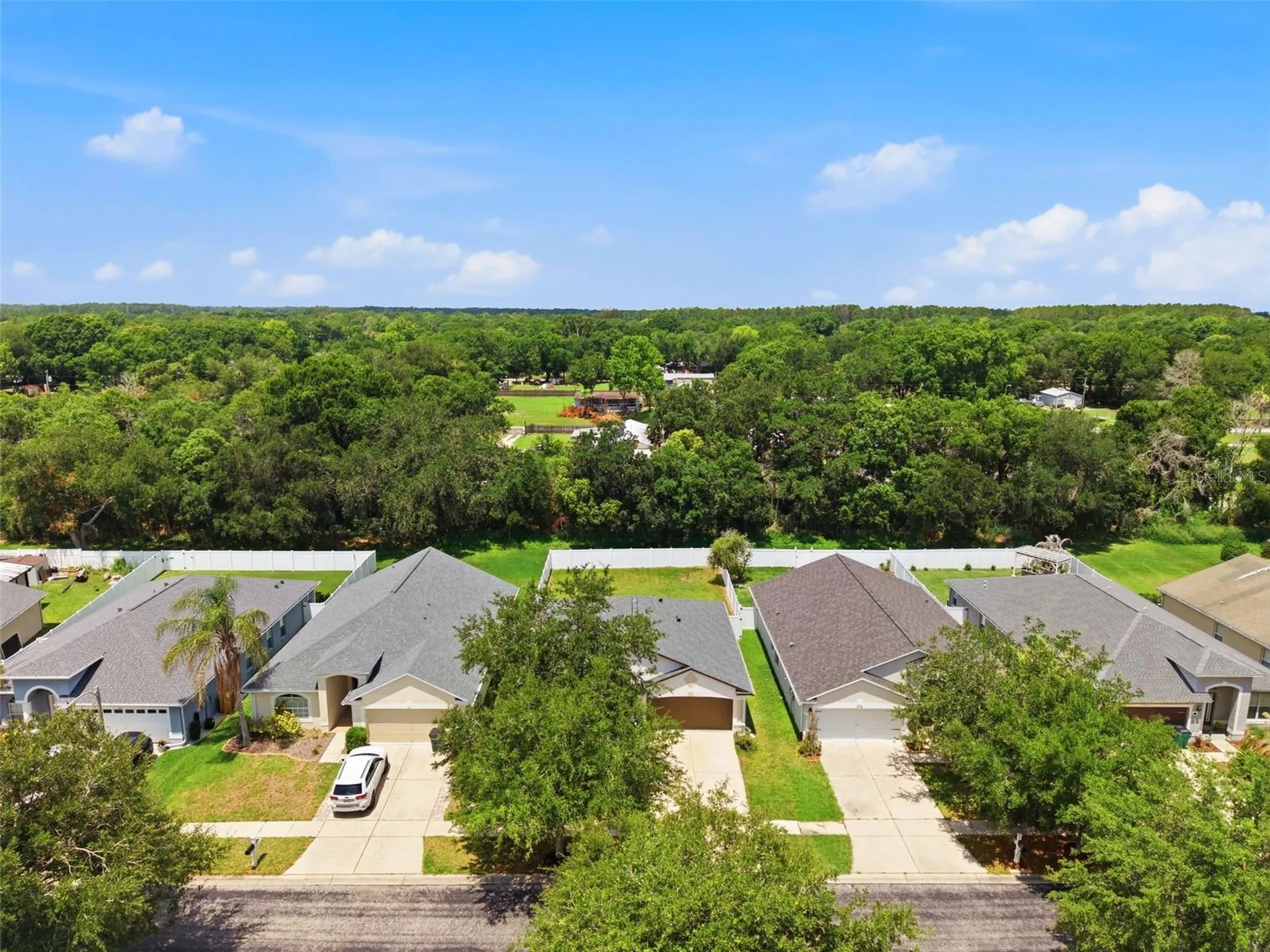 7315 Newhall Pass Lane Wesley Chapel FL 33545