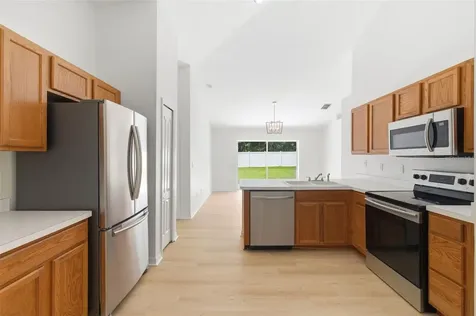 7315 Newhall Pass Lane Wesley Chapel FL 33545
