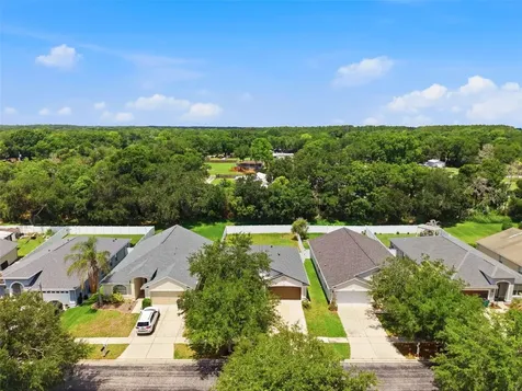 7315 Newhall Pass Lane Wesley Chapel FL 33545