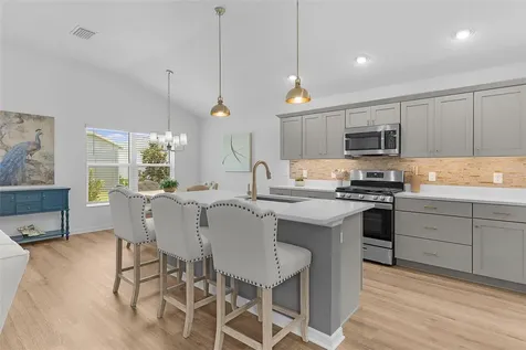 1714 Mcmurtrie Loop The Villages FL 34762