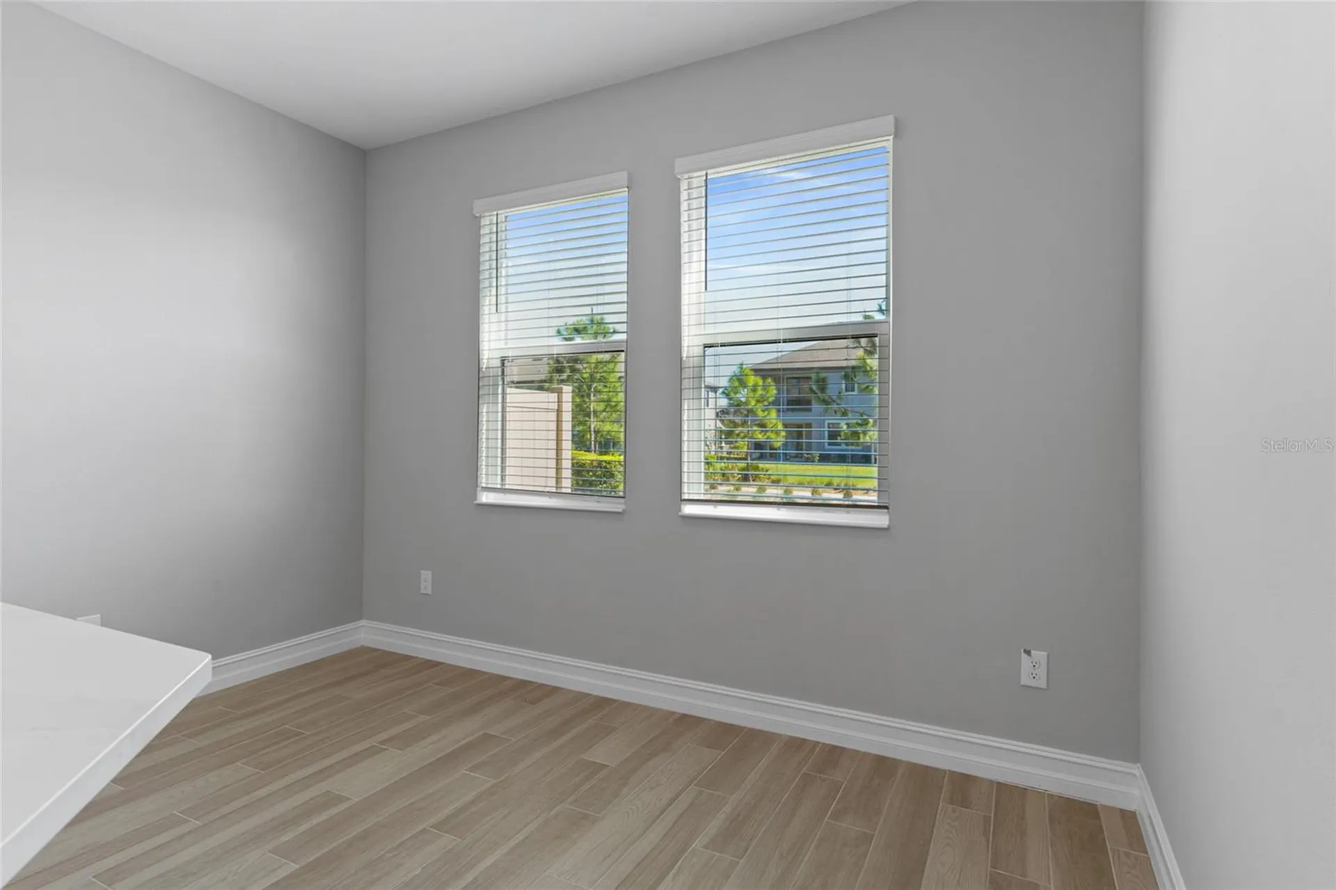 4989 San Martino Drive Wesley Chapel FL 33543