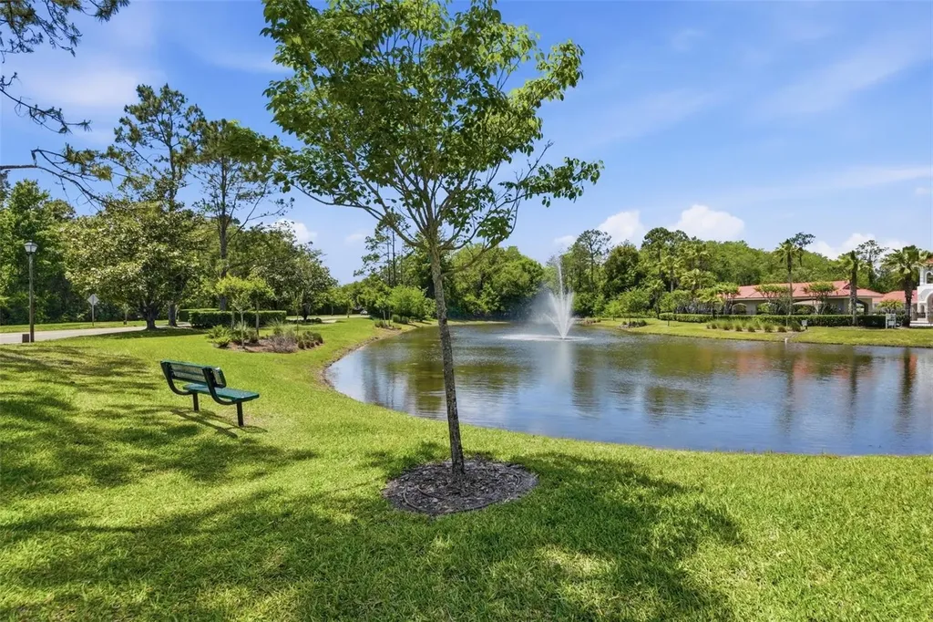11027 Summerspring Lakes Drive Orlando FL 32825