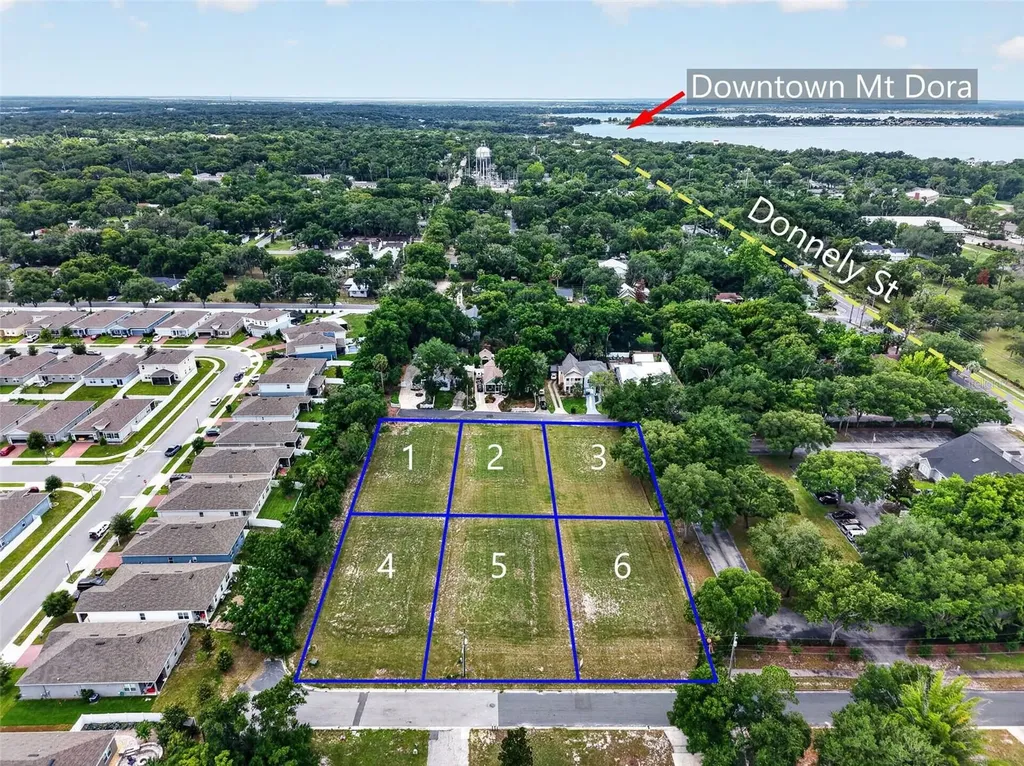 Fearon Avenue Mount Dora FL 32757