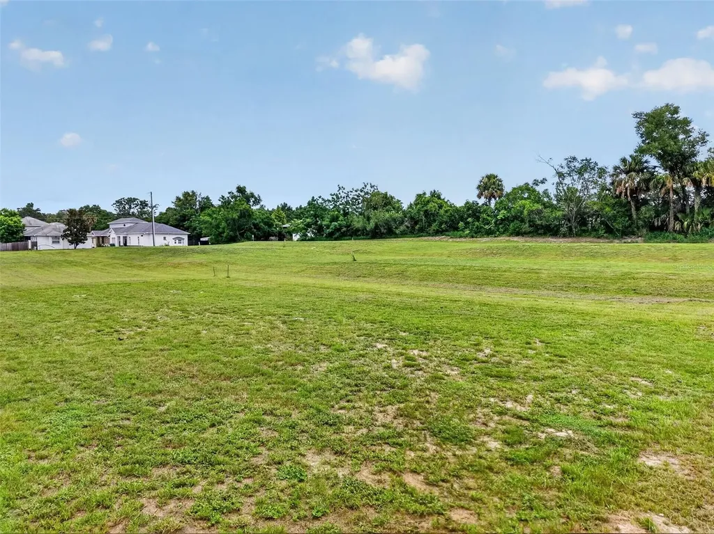 Fearon Avenue Mount Dora FL 32757