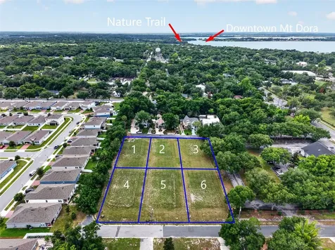 Fearon Avenue Mount Dora FL 32757