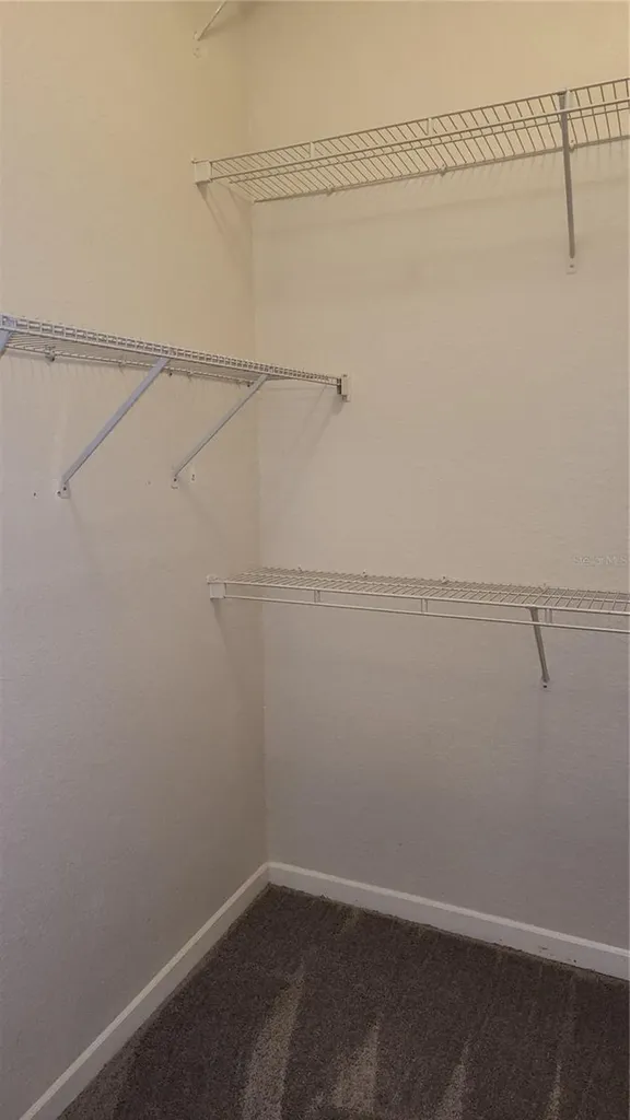 17101 Carrington Park Drive Tampa FL 33647