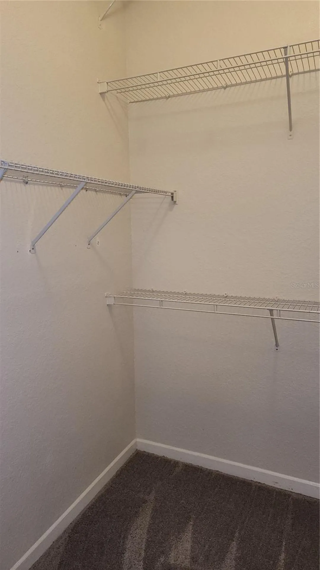 17101 Carrington Park Drive Tampa FL 33647
