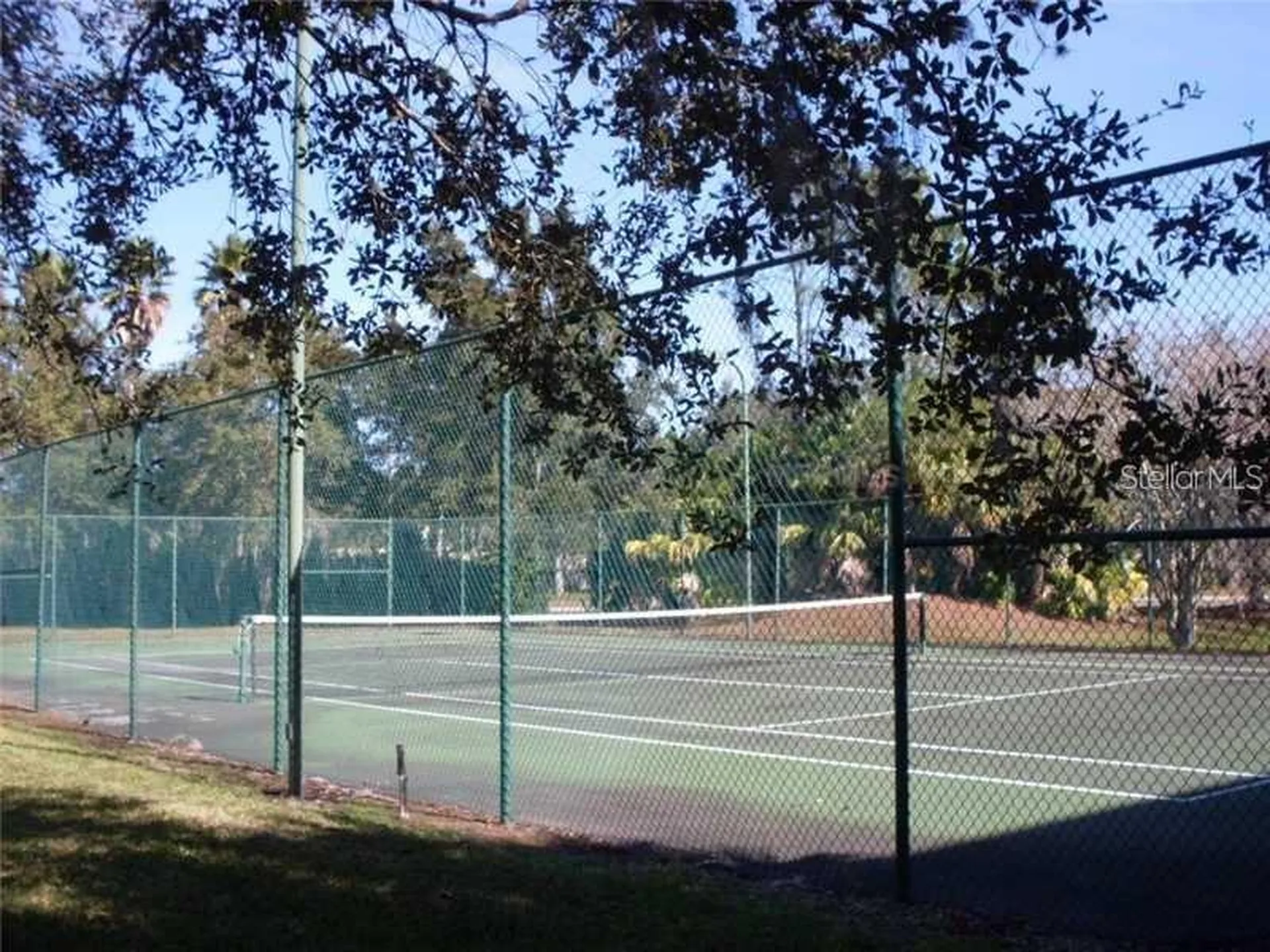 17101 Carrington Park Drive Tampa FL 33647