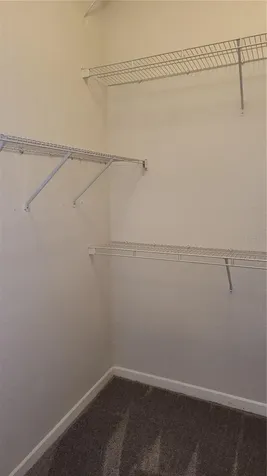 17101 Carrington Park Drive Tampa FL 33647