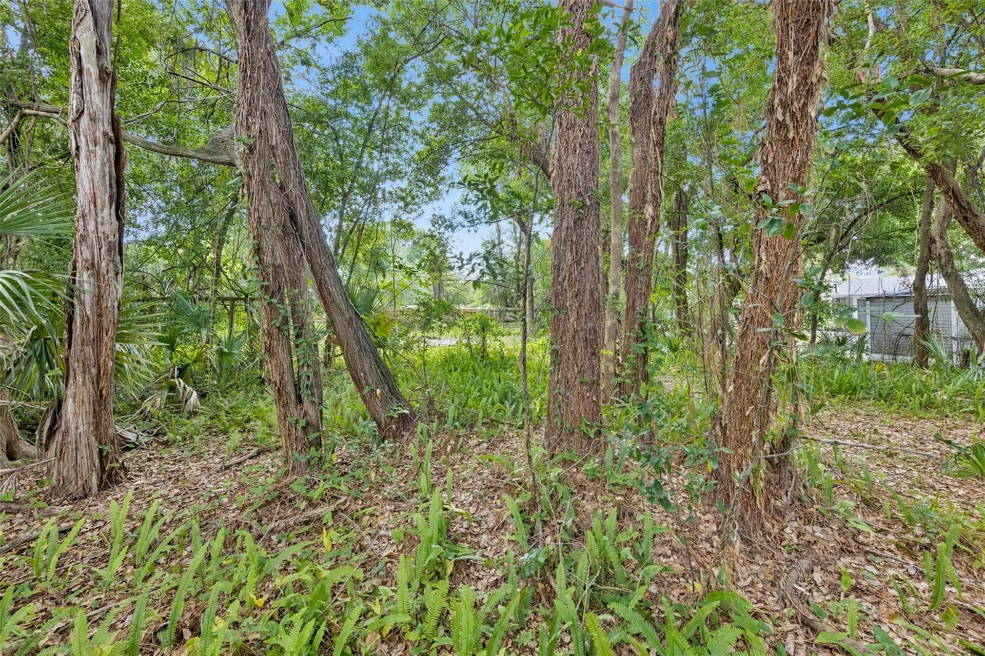 1318 Coletta Drive Orlando FL 32807