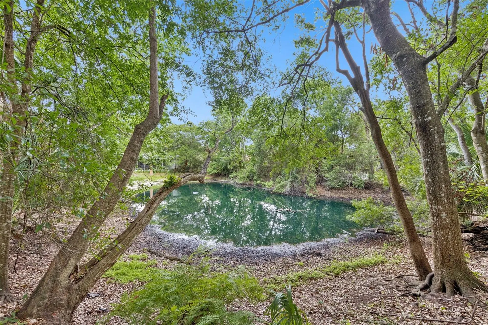 1318 Coletta Drive Orlando FL 32807