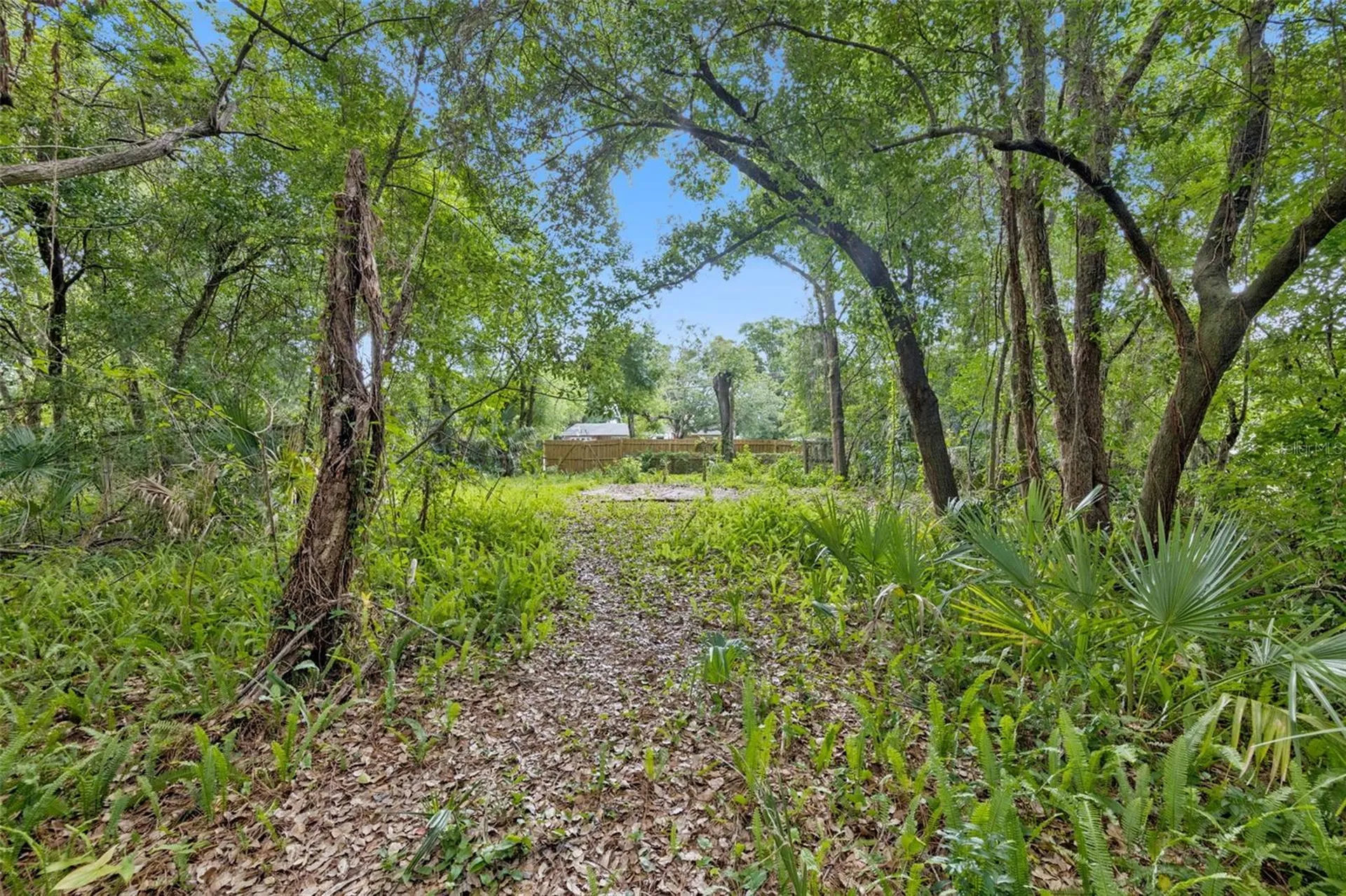 1318 Coletta Drive Orlando FL 32807