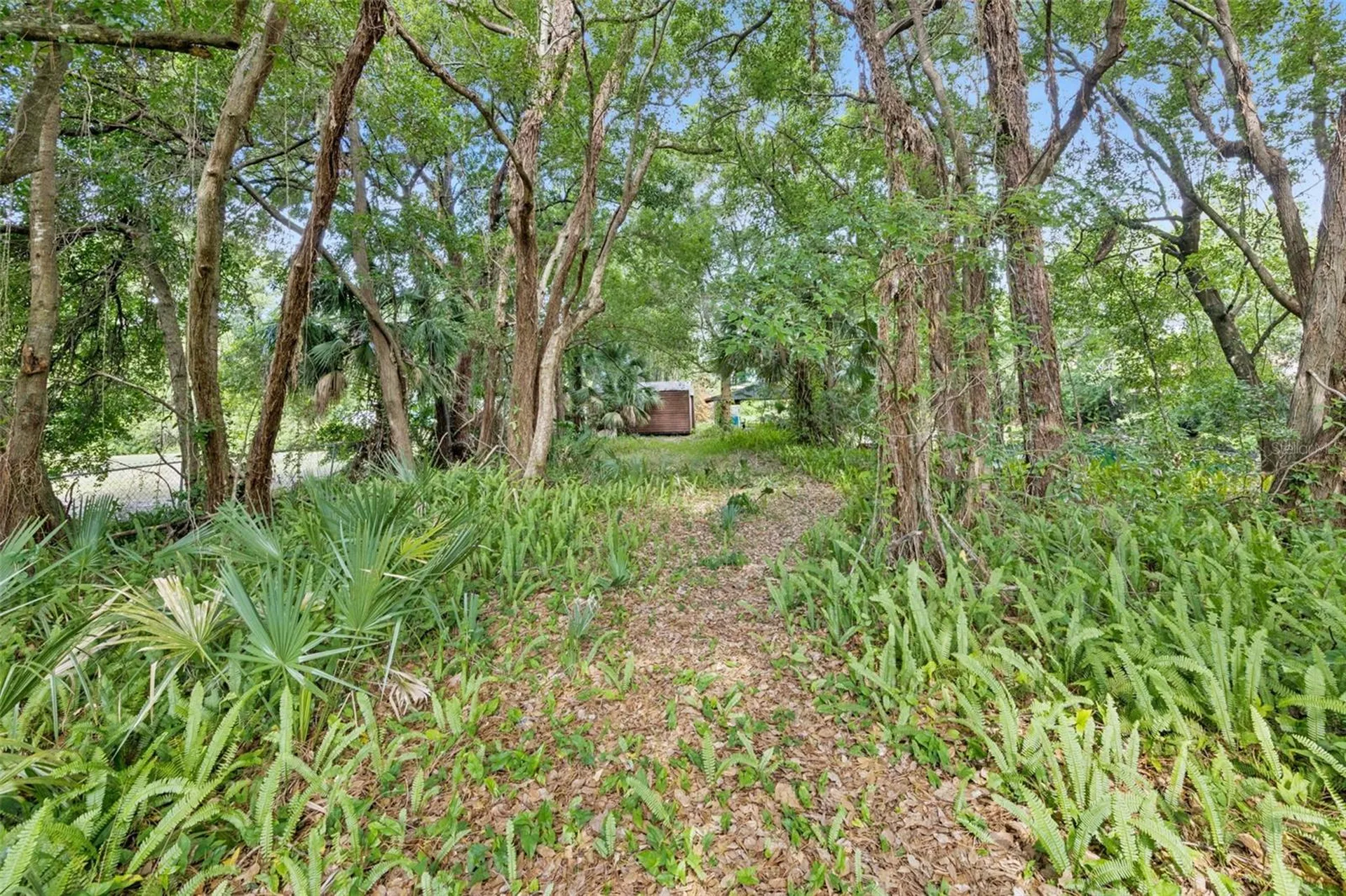 1318 Coletta Drive Orlando FL 32807